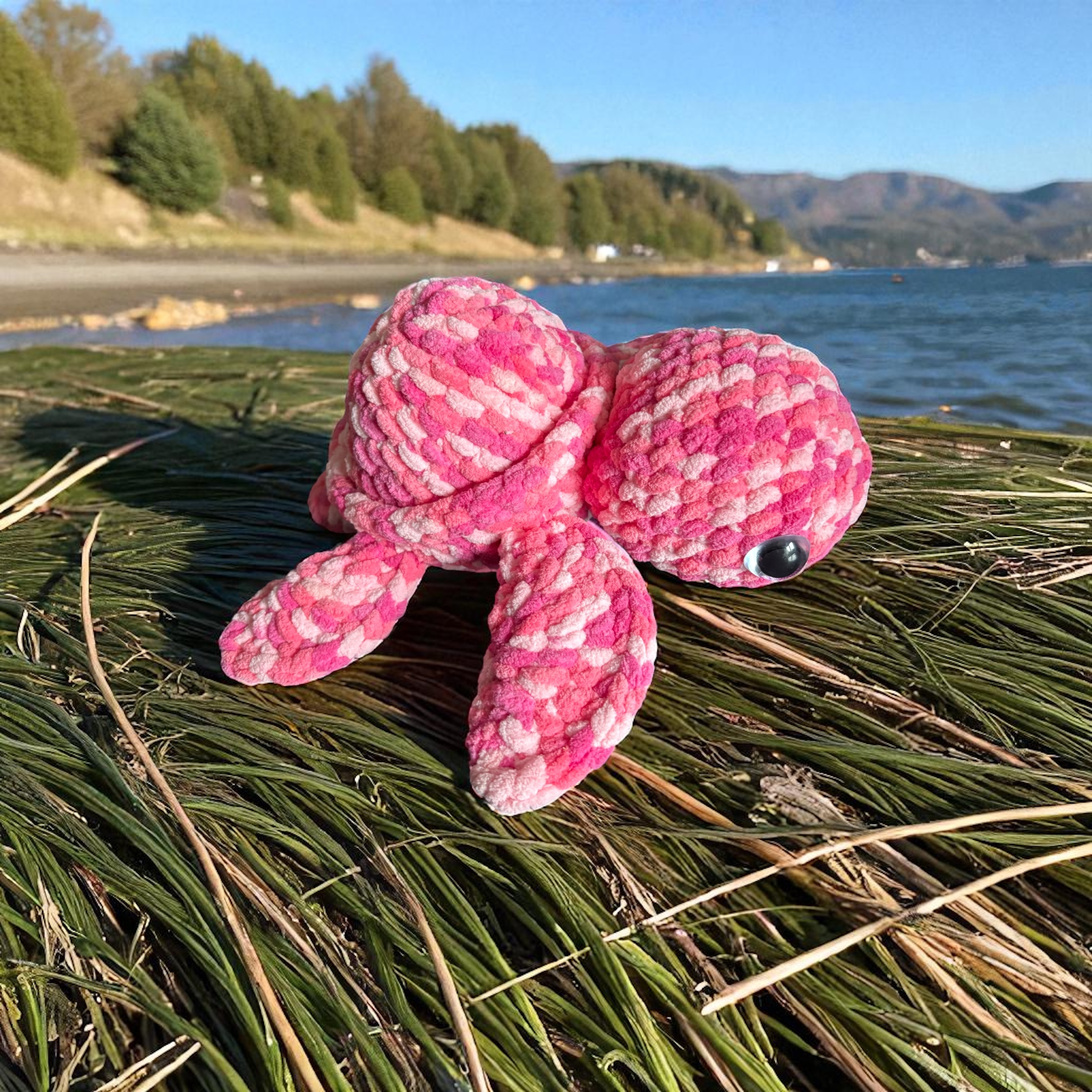 Image supplémentaire