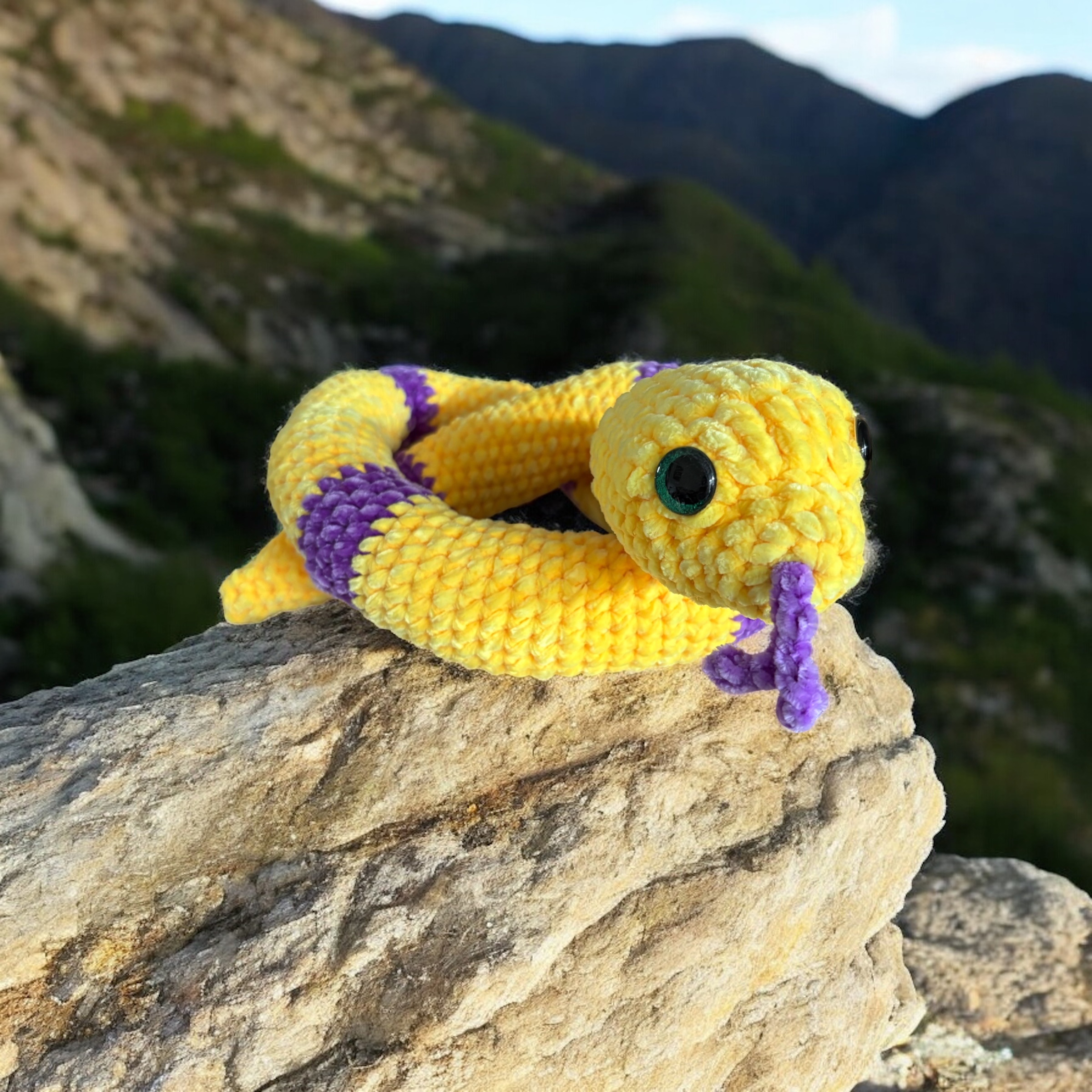 Image supplémentaire