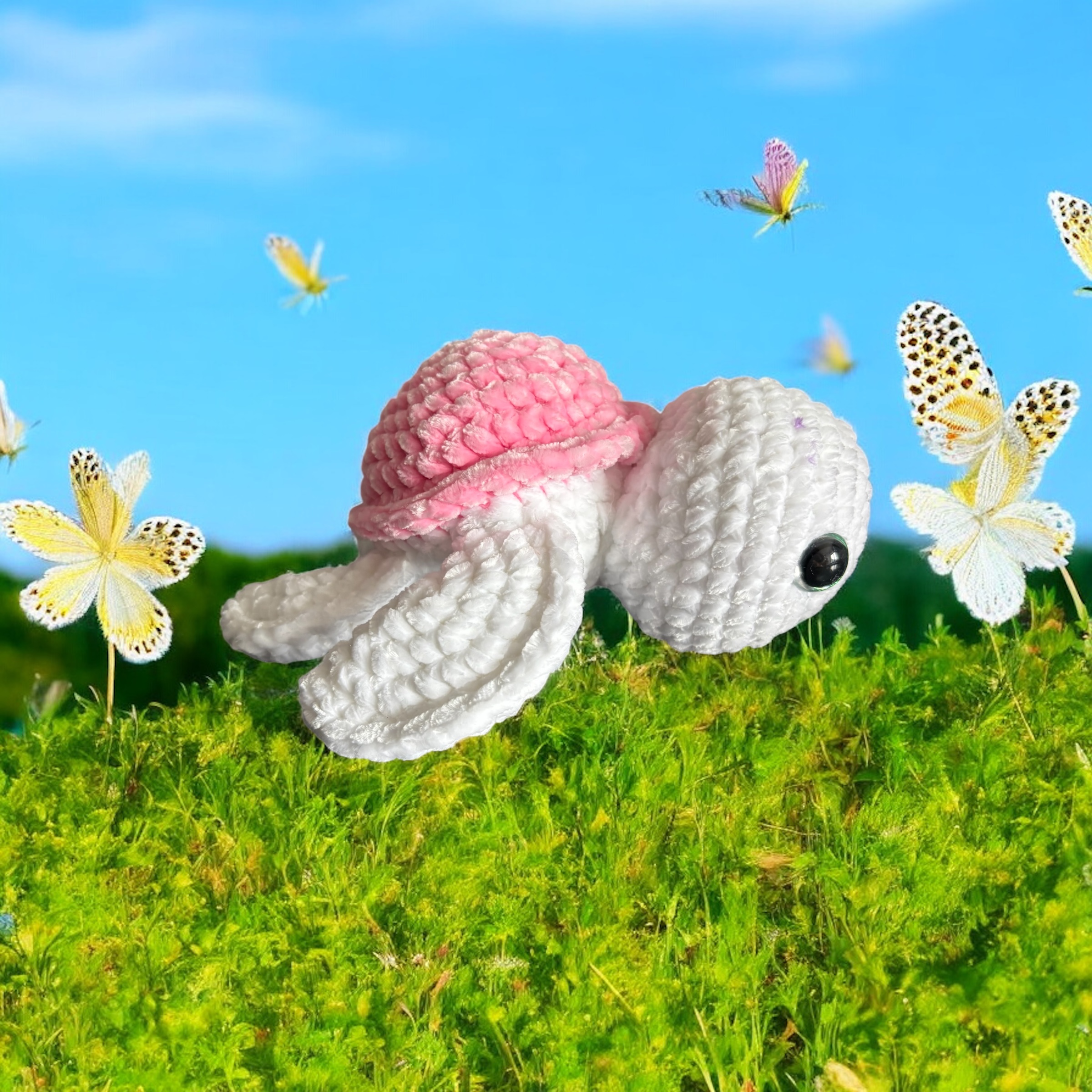 Image supplémentaire