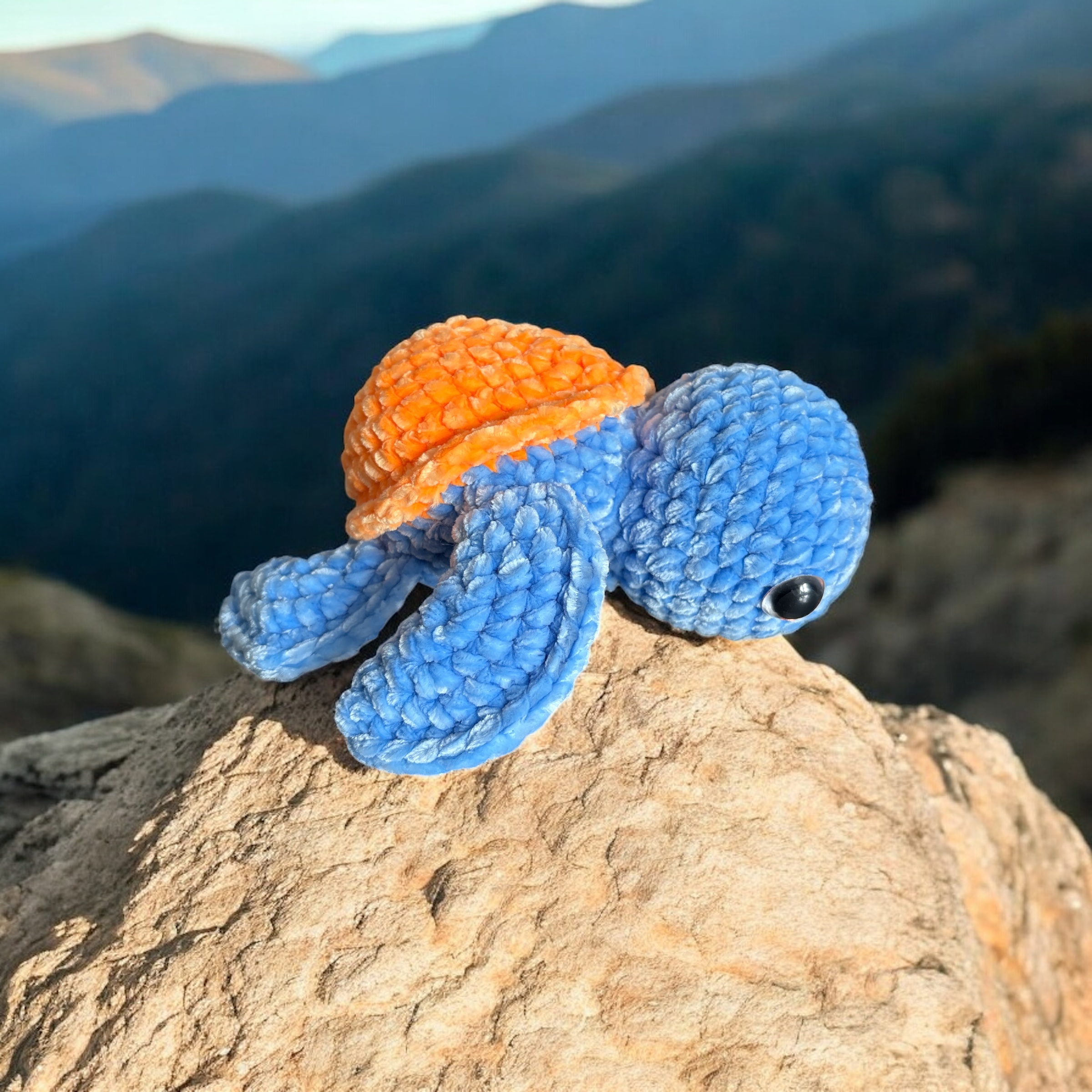 Image supplémentaire