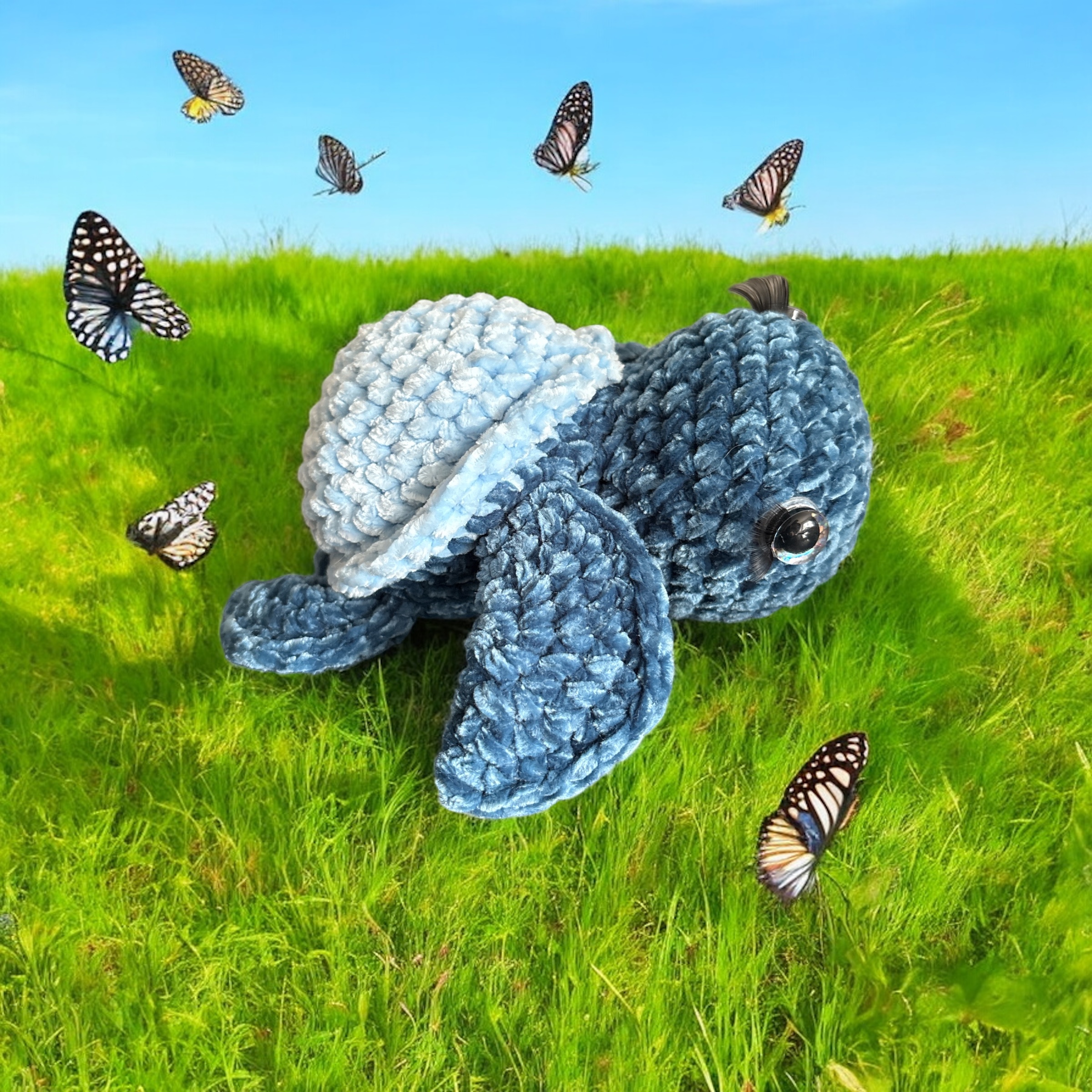 Image supplémentaire