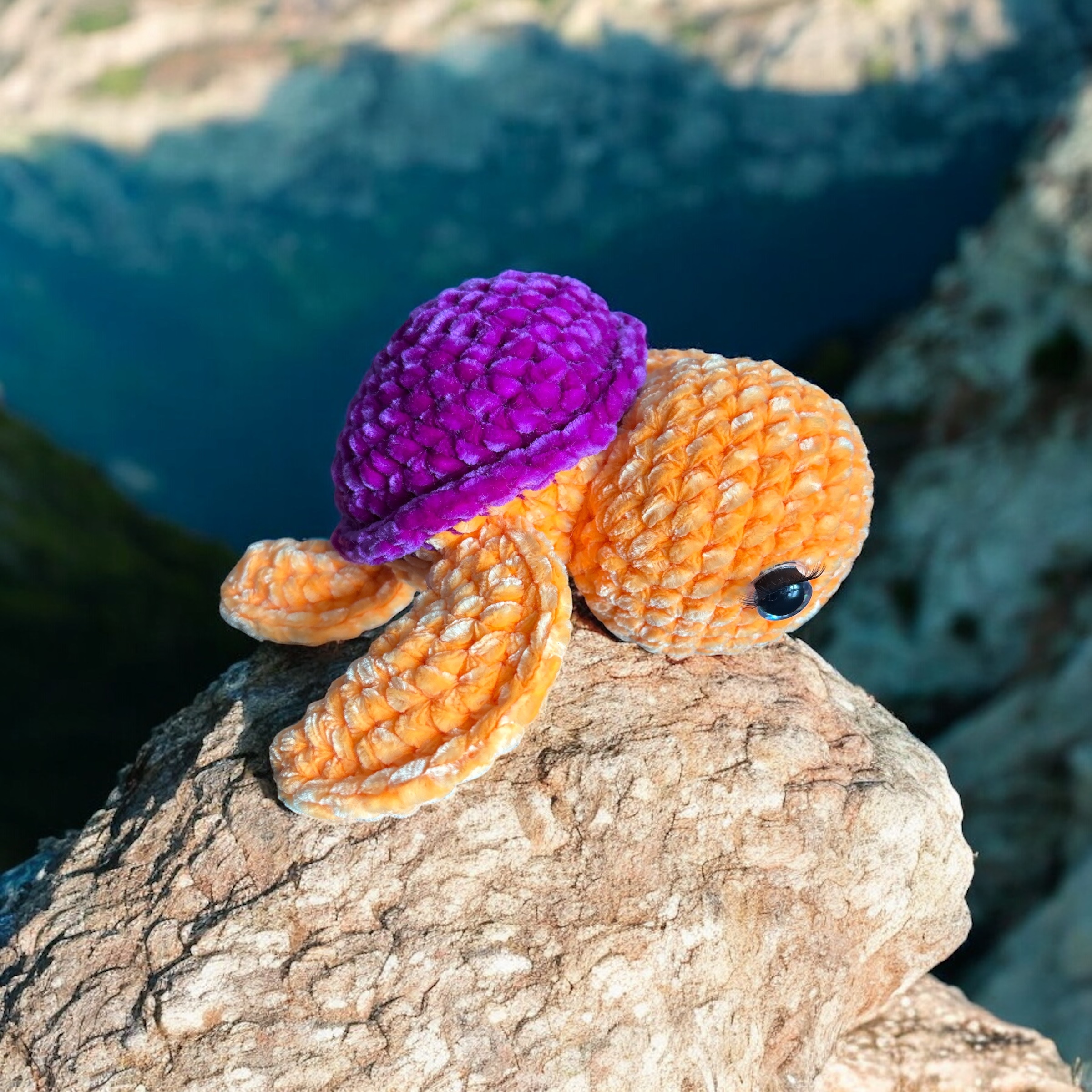 Image supplémentaire