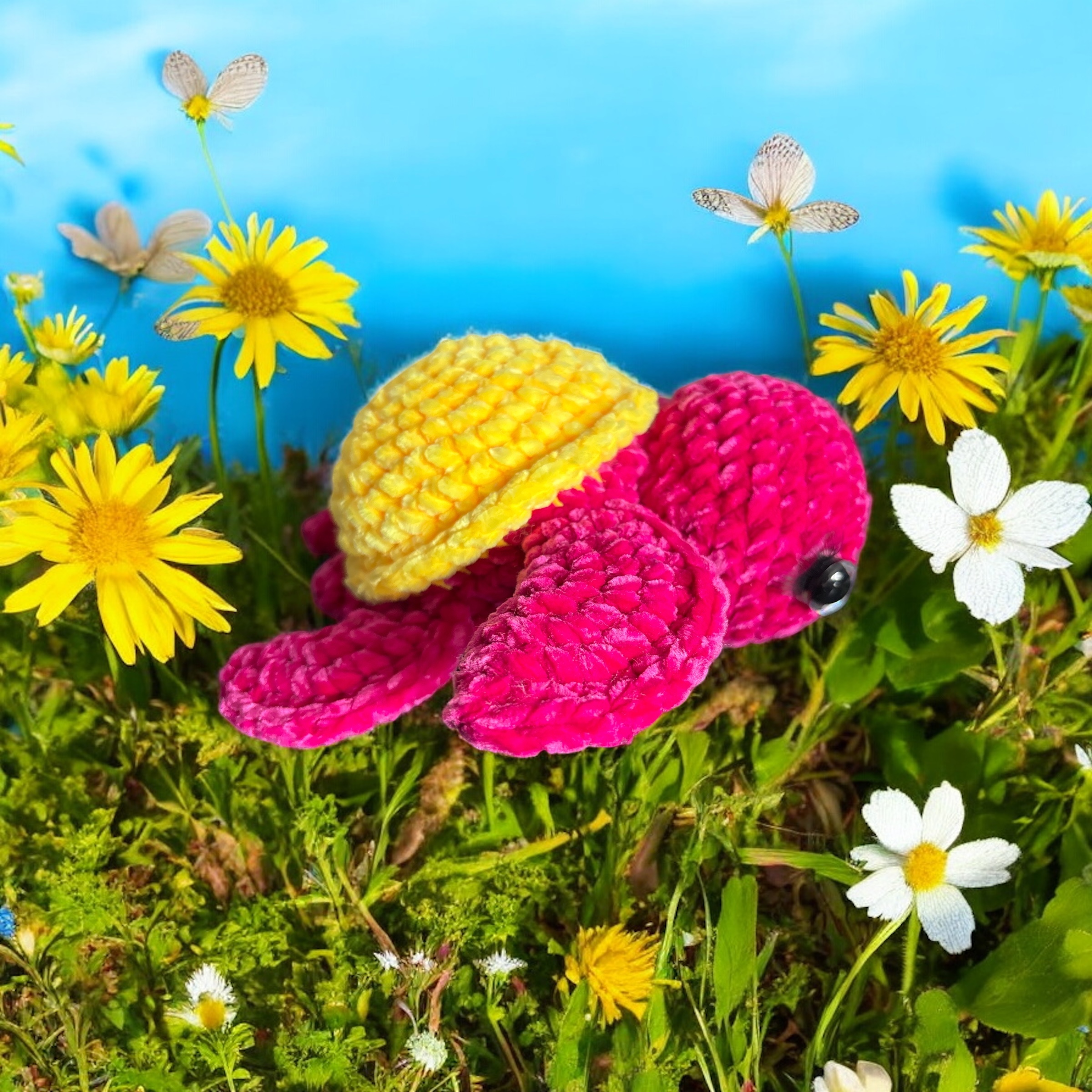 Image supplémentaire