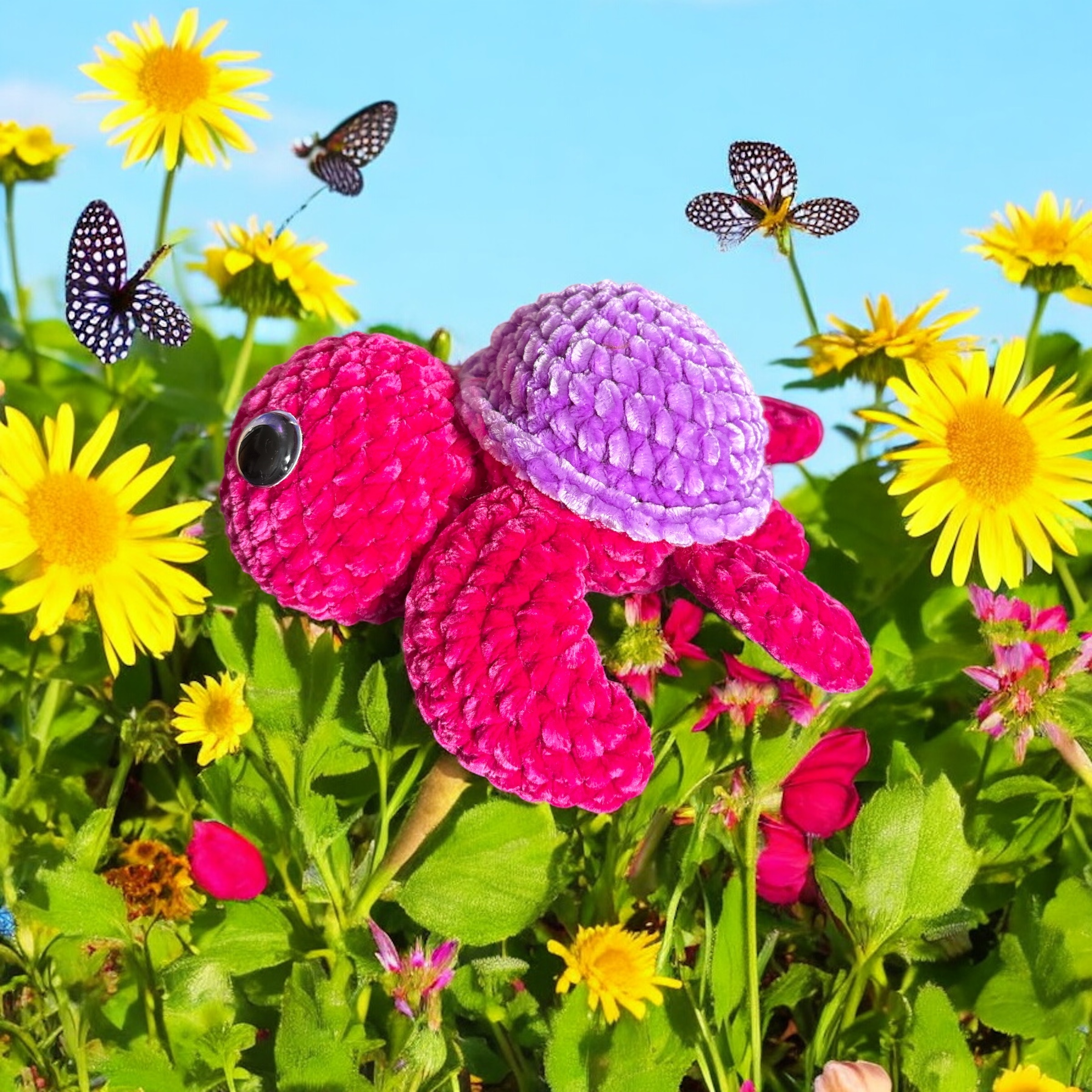 Image supplémentaire