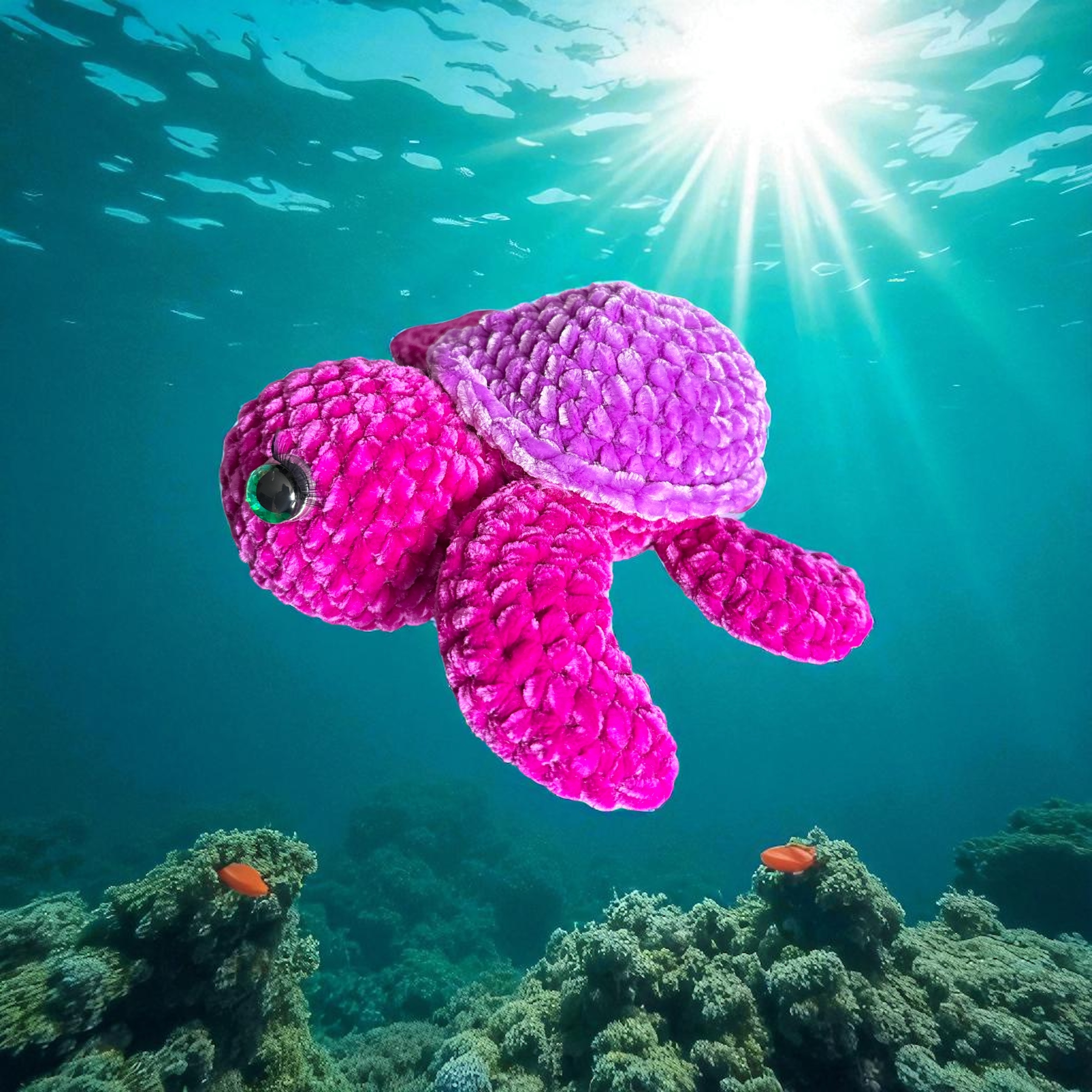 Image supplémentaire