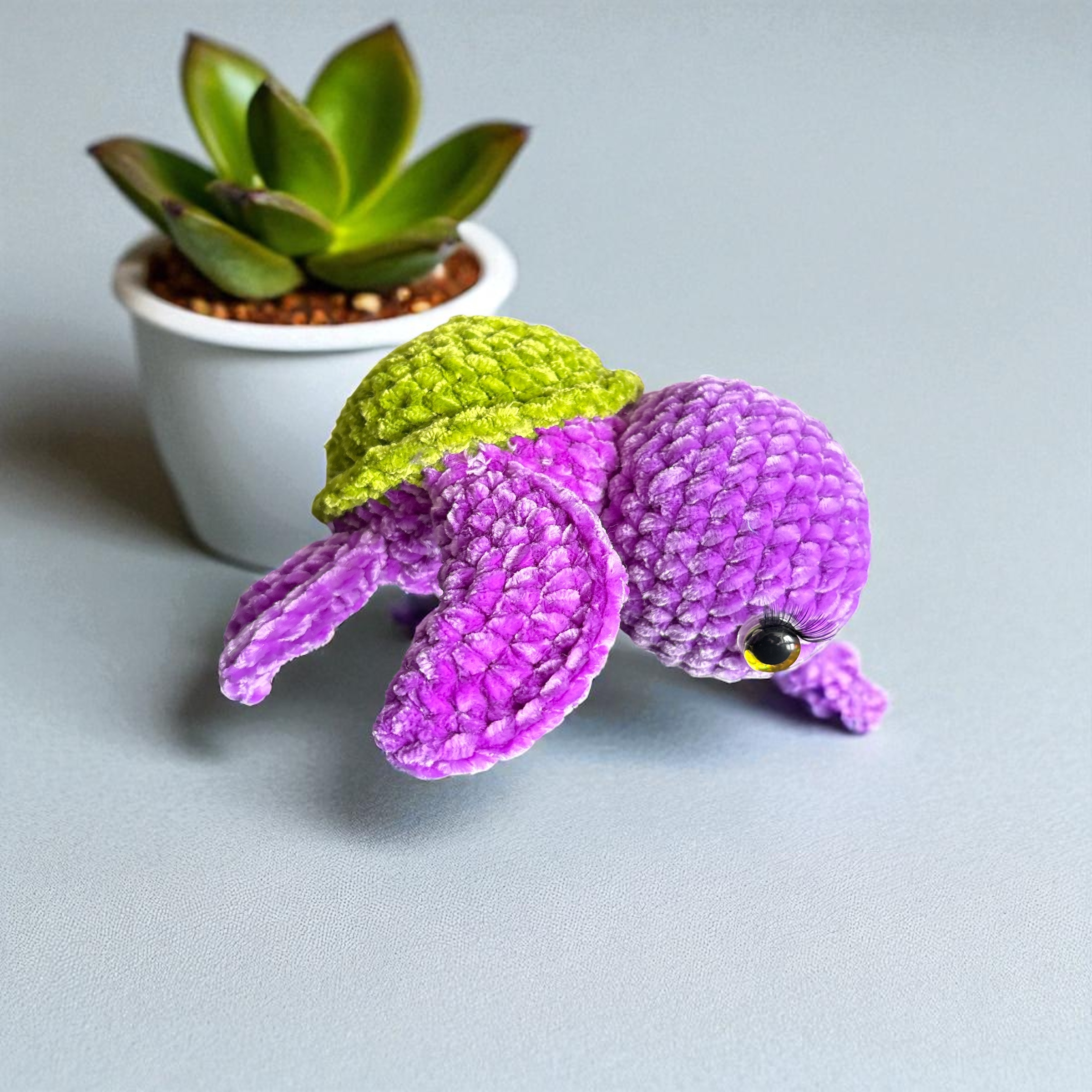 Image supplémentaire