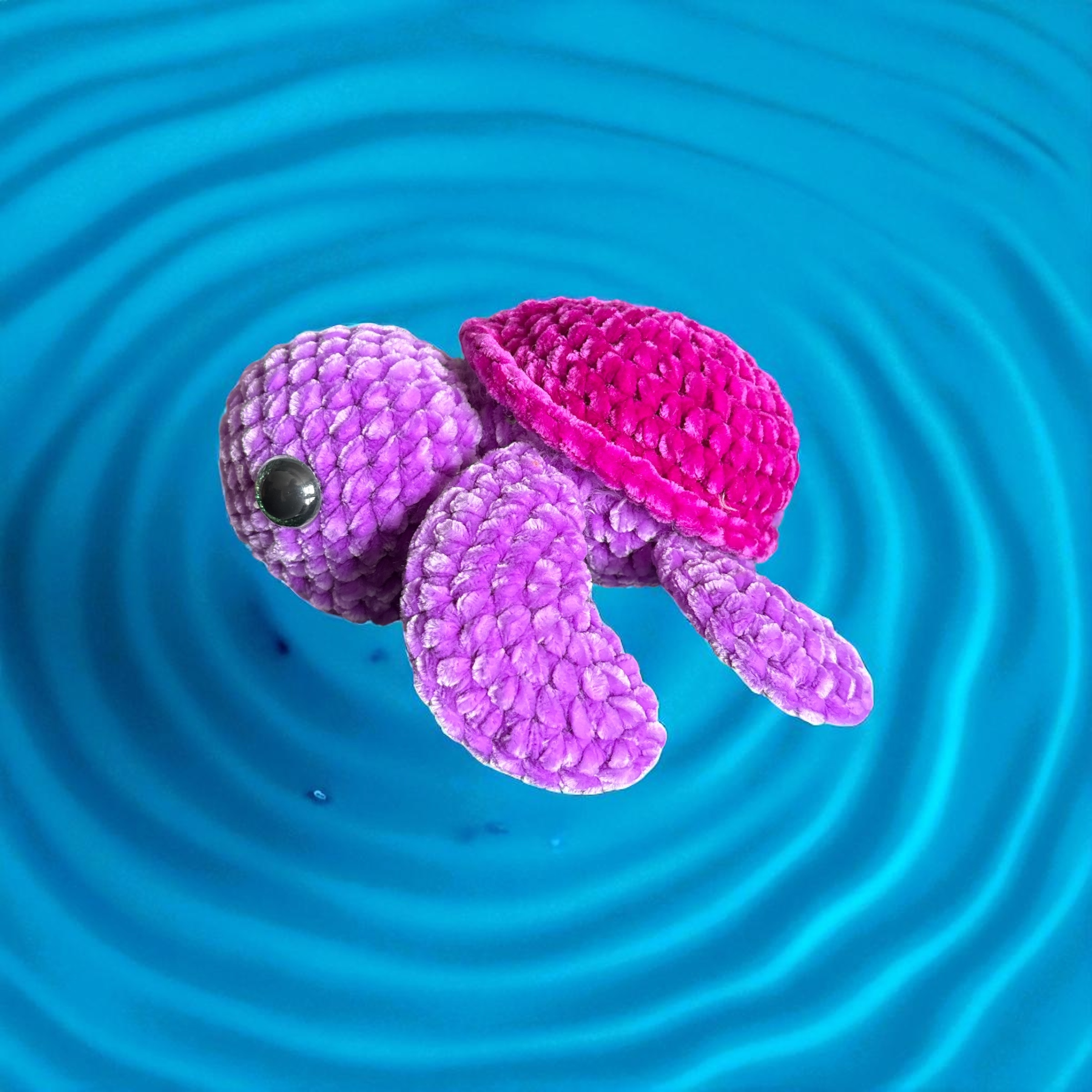 Image supplémentaire