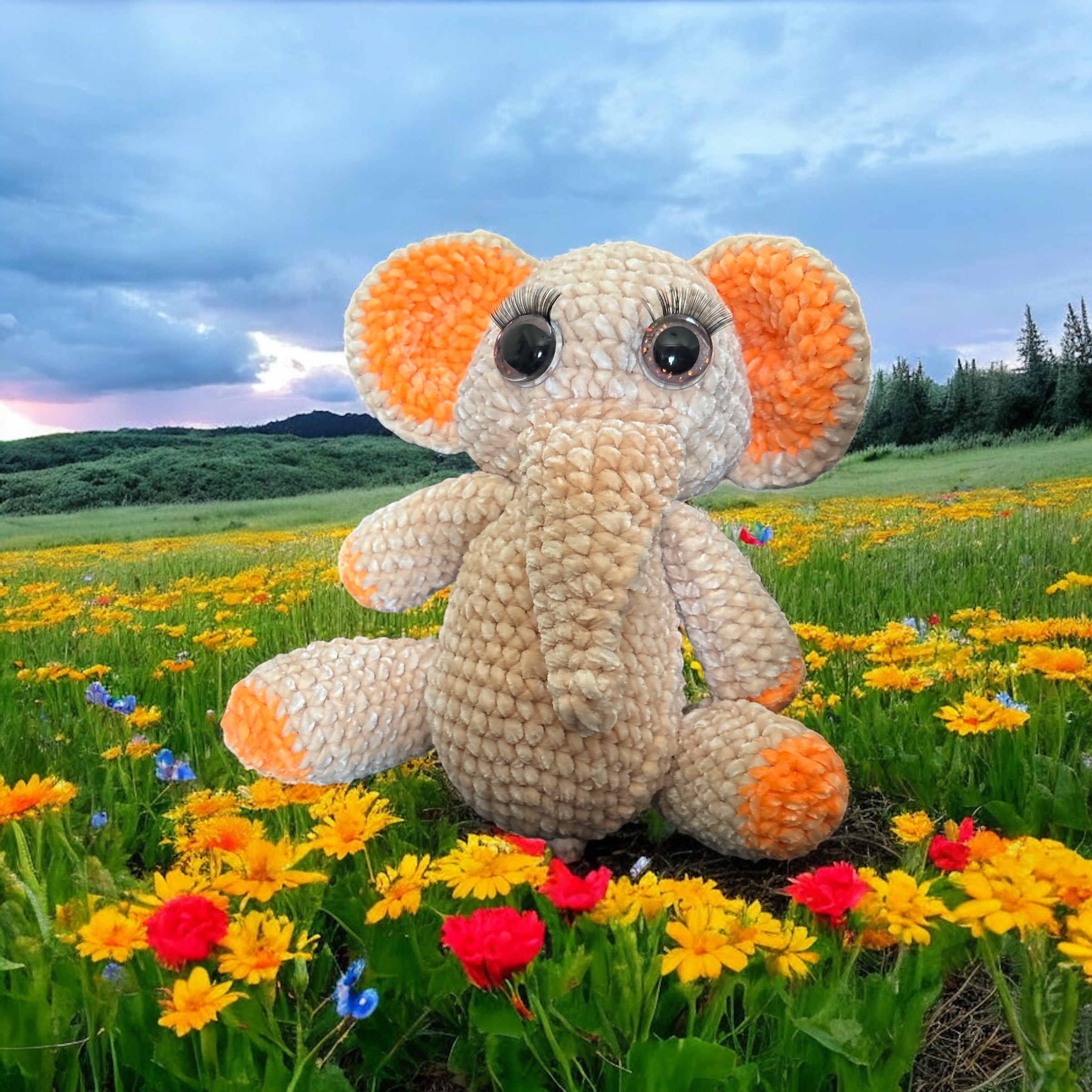 Image supplémentaire