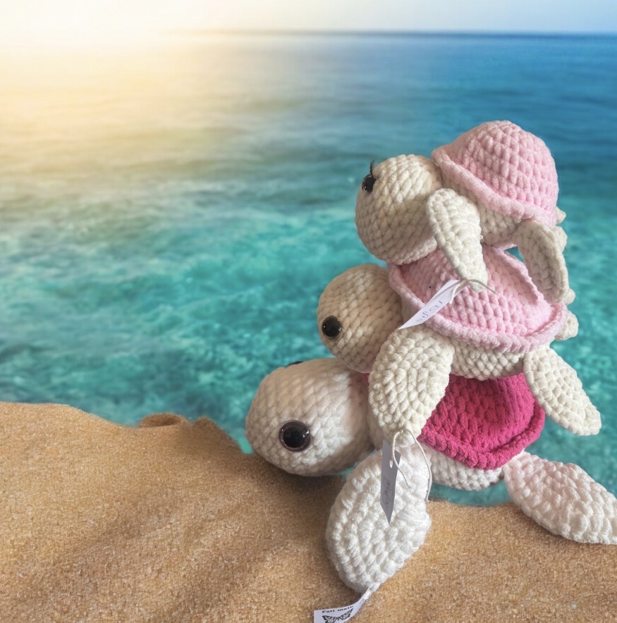 Tortues 27 cm de large