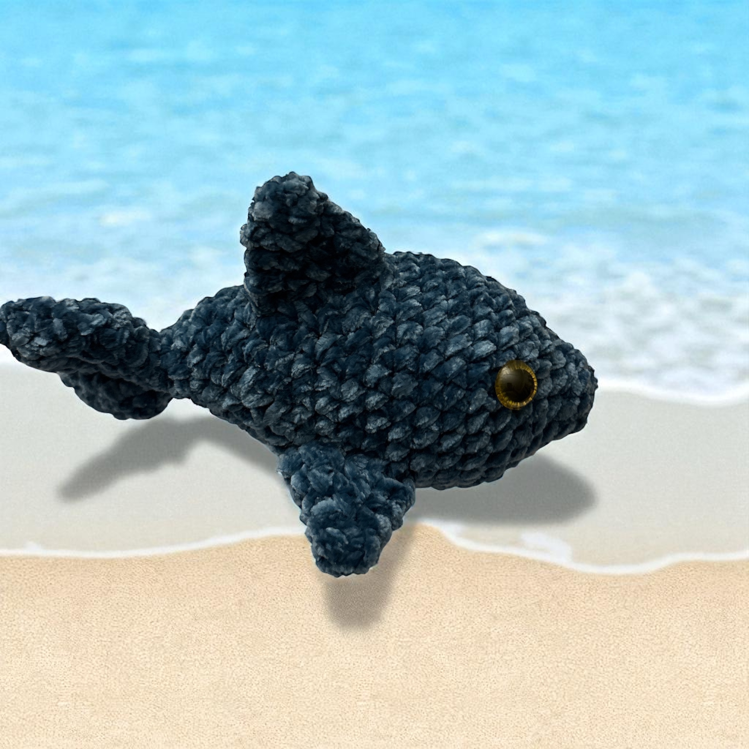 Image supplémentaire