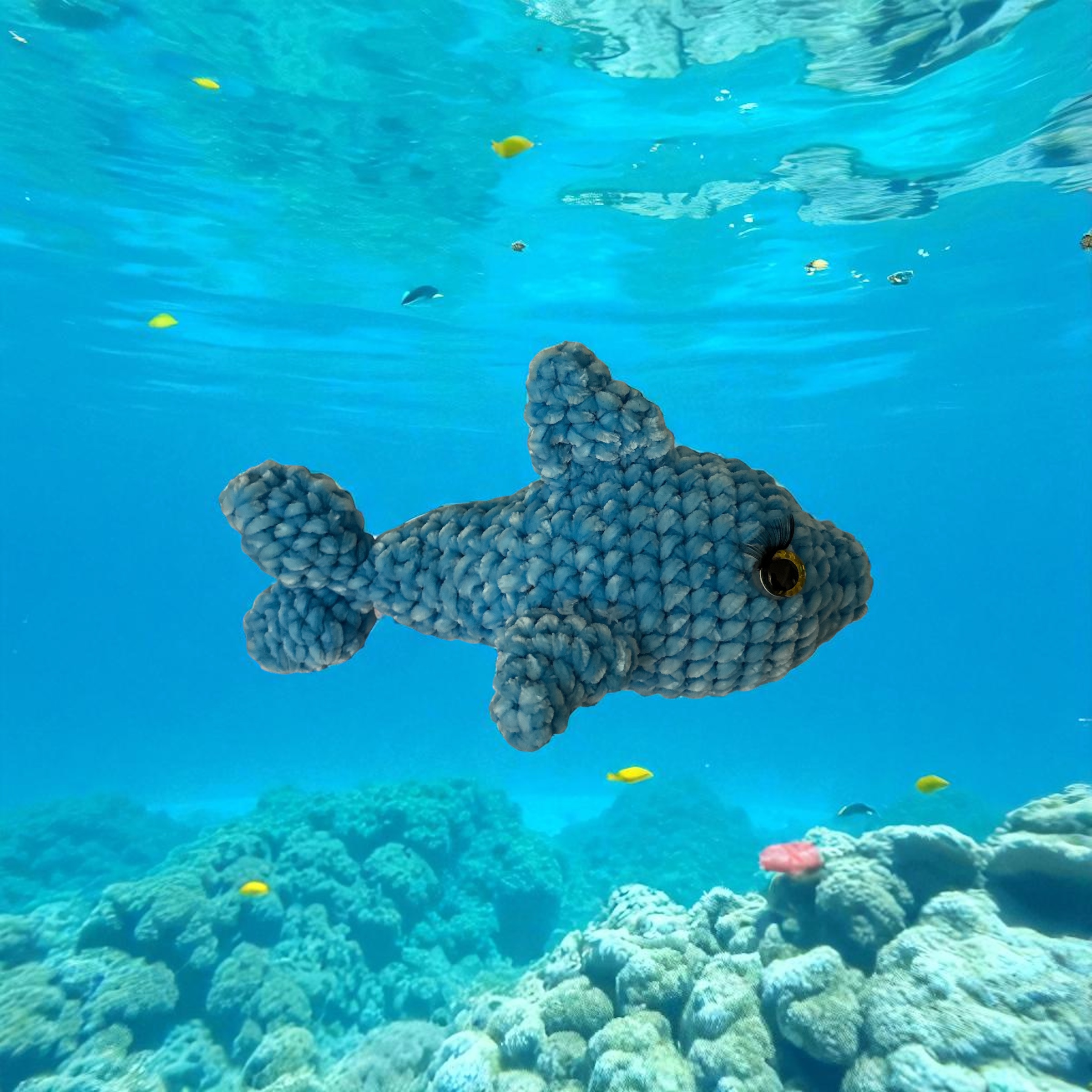 Image supplémentaire