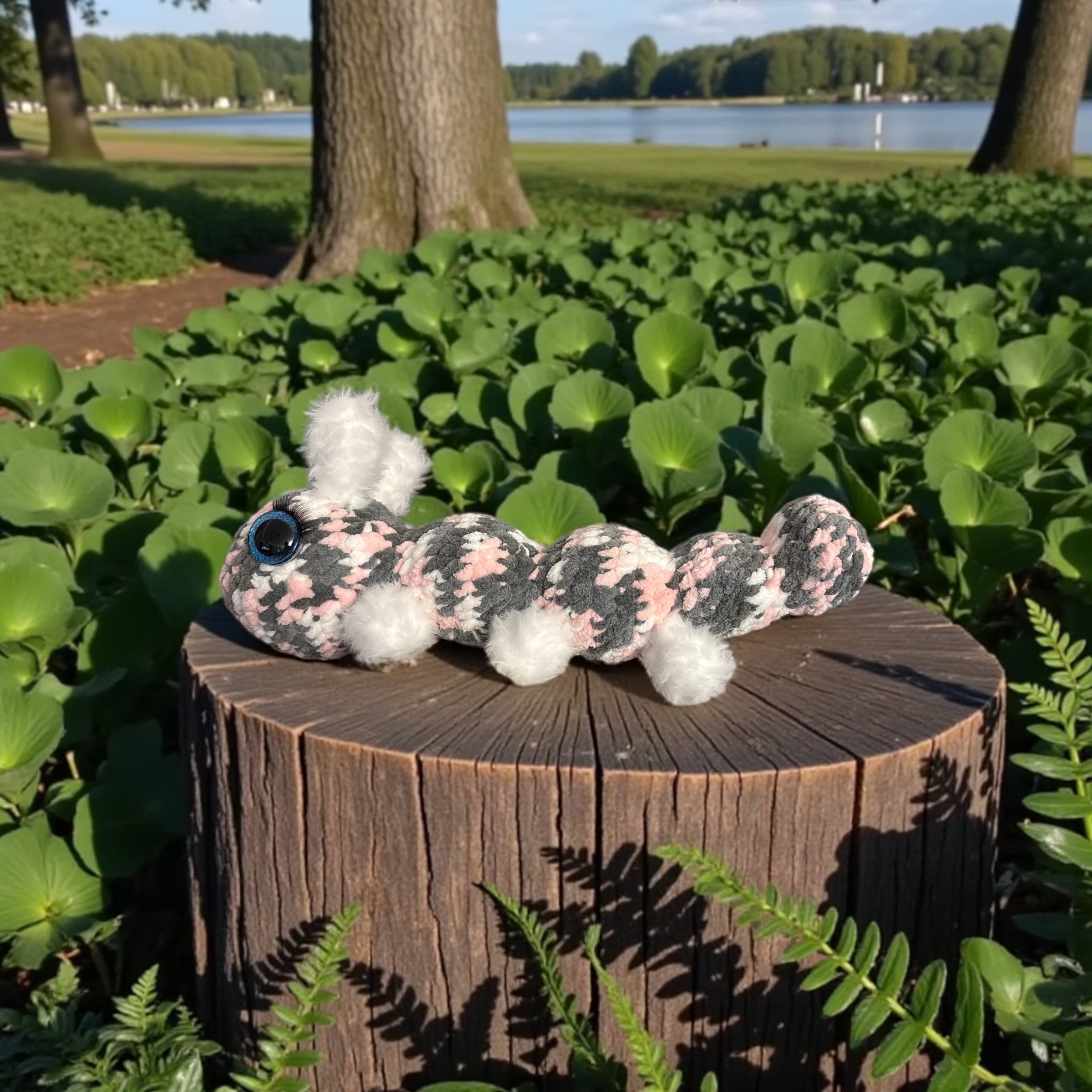 Image supplémentaire