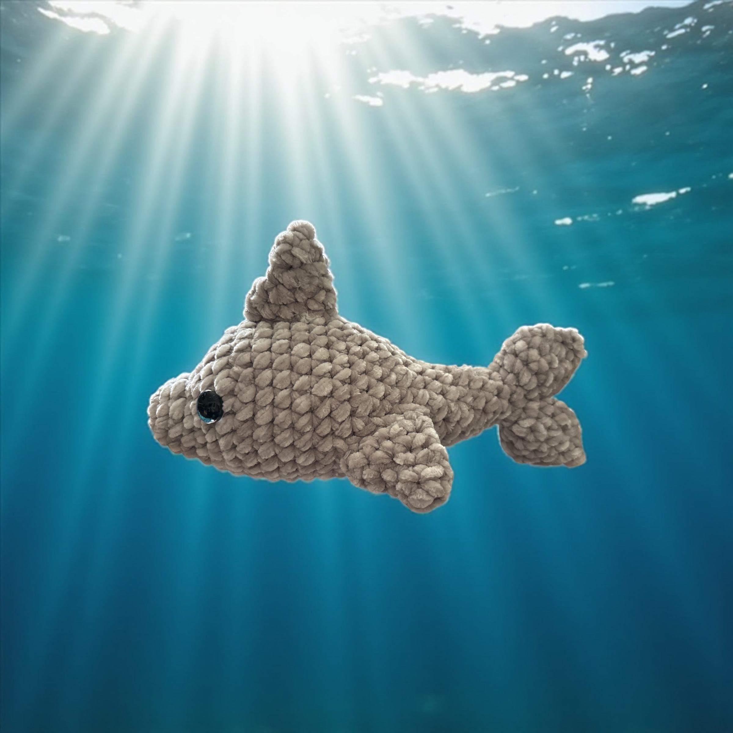 Image supplémentaire