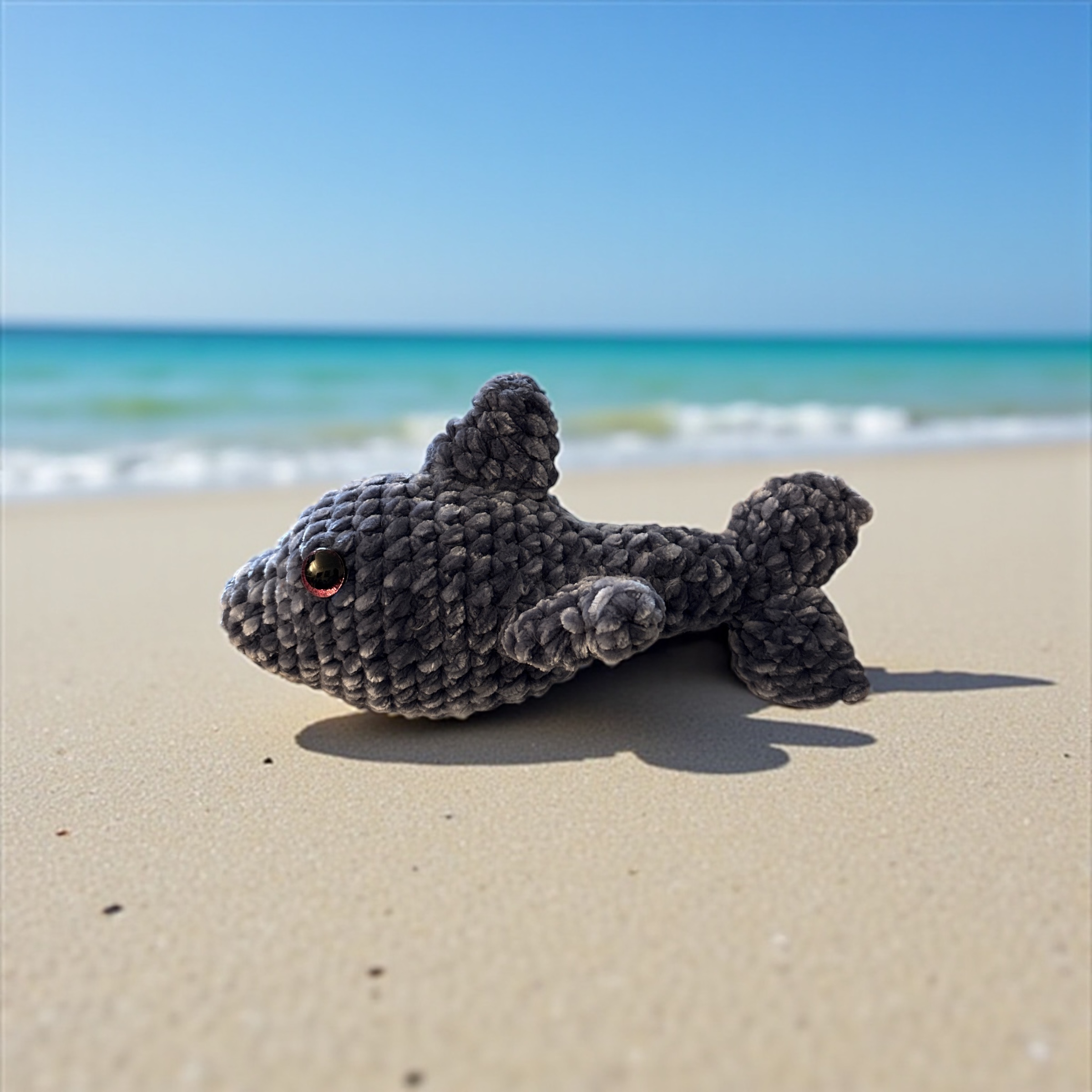 Image supplémentaire