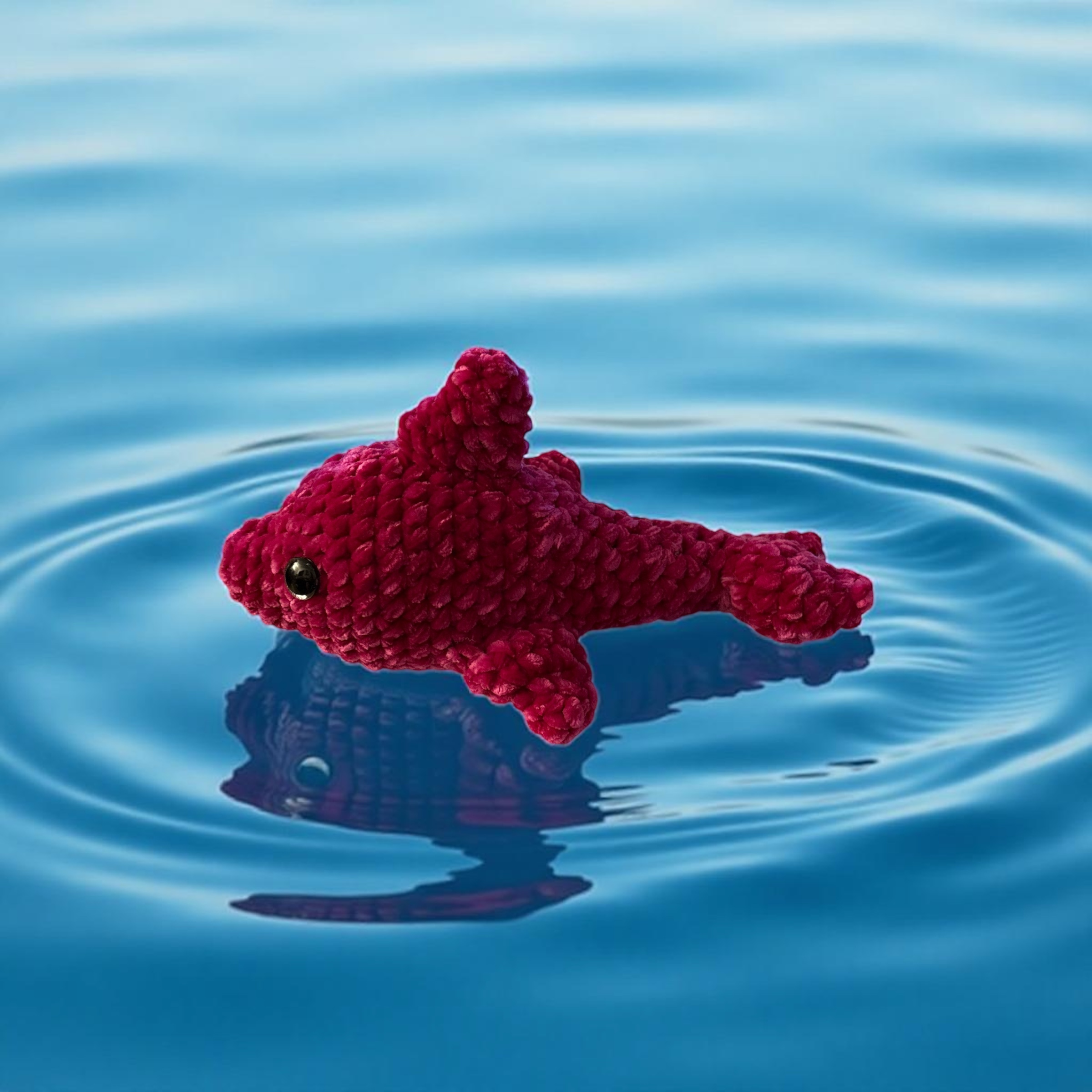 Image supplémentaire