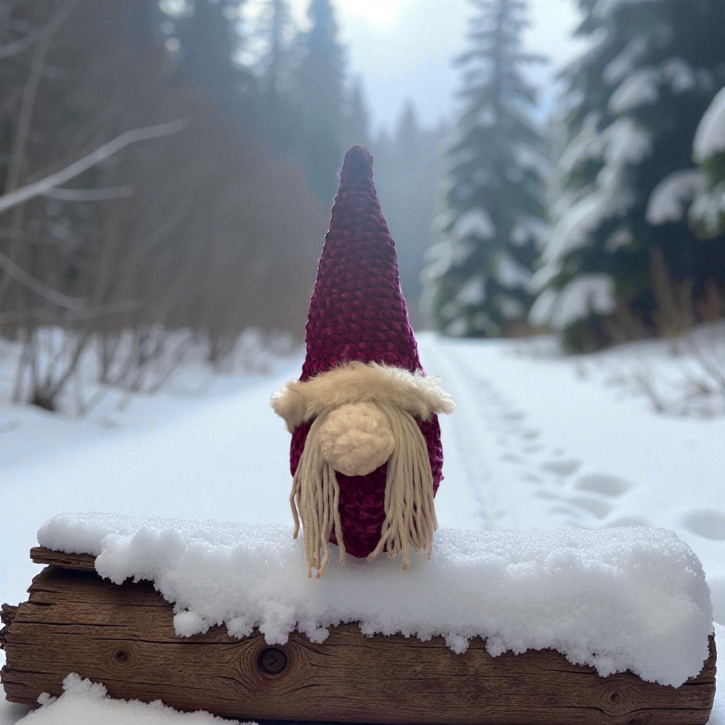 Image supplémentaire