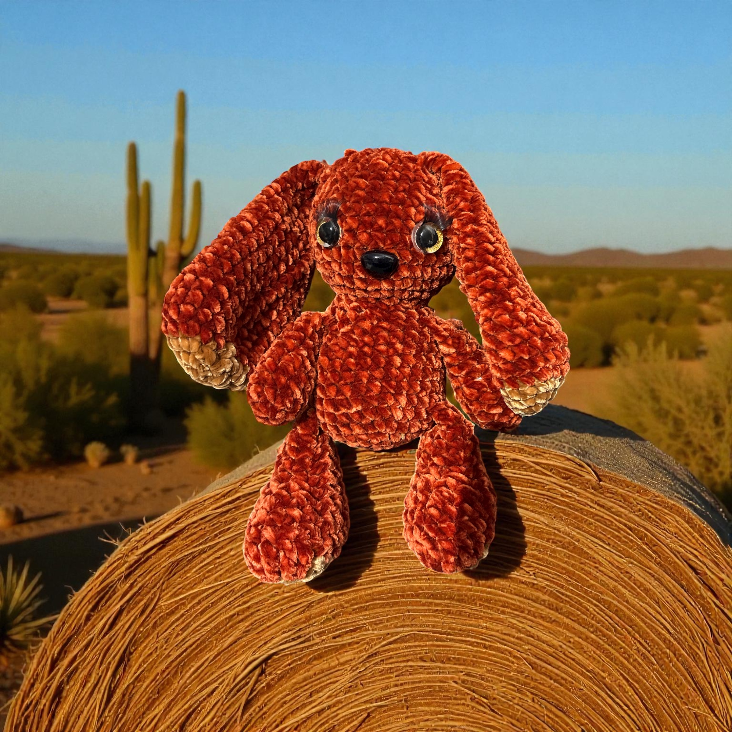 Image supplémentaire