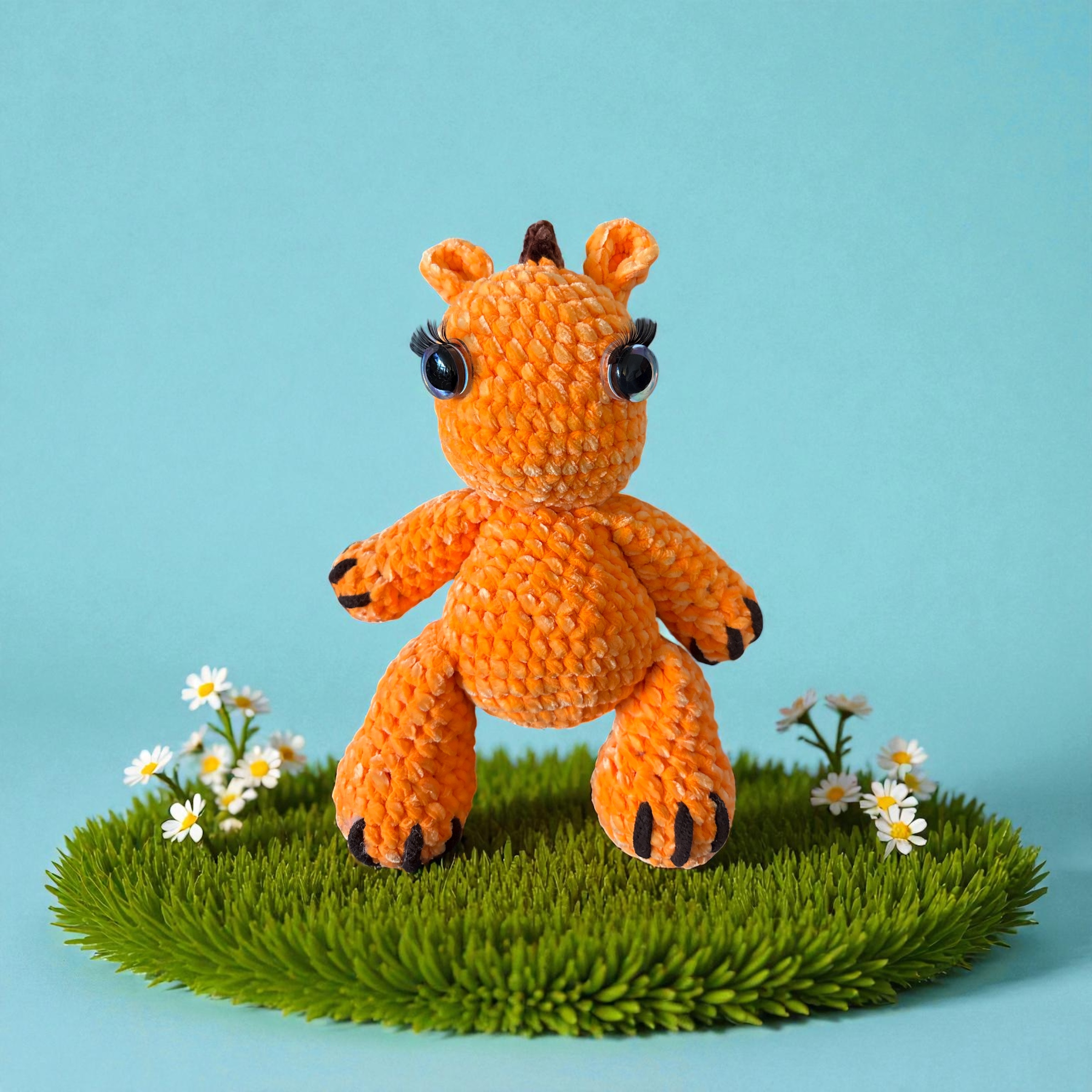 Image supplémentaire