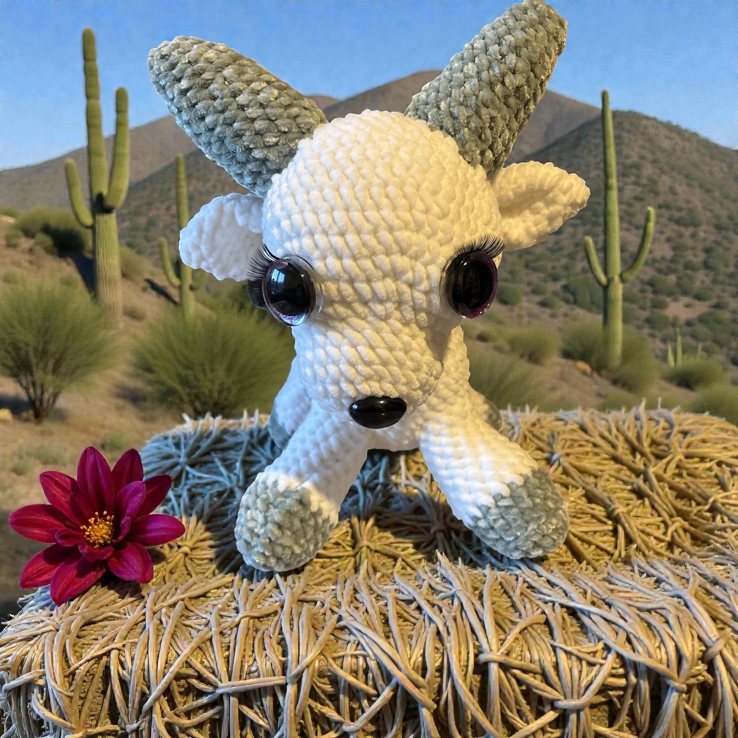 Image supplémentaire