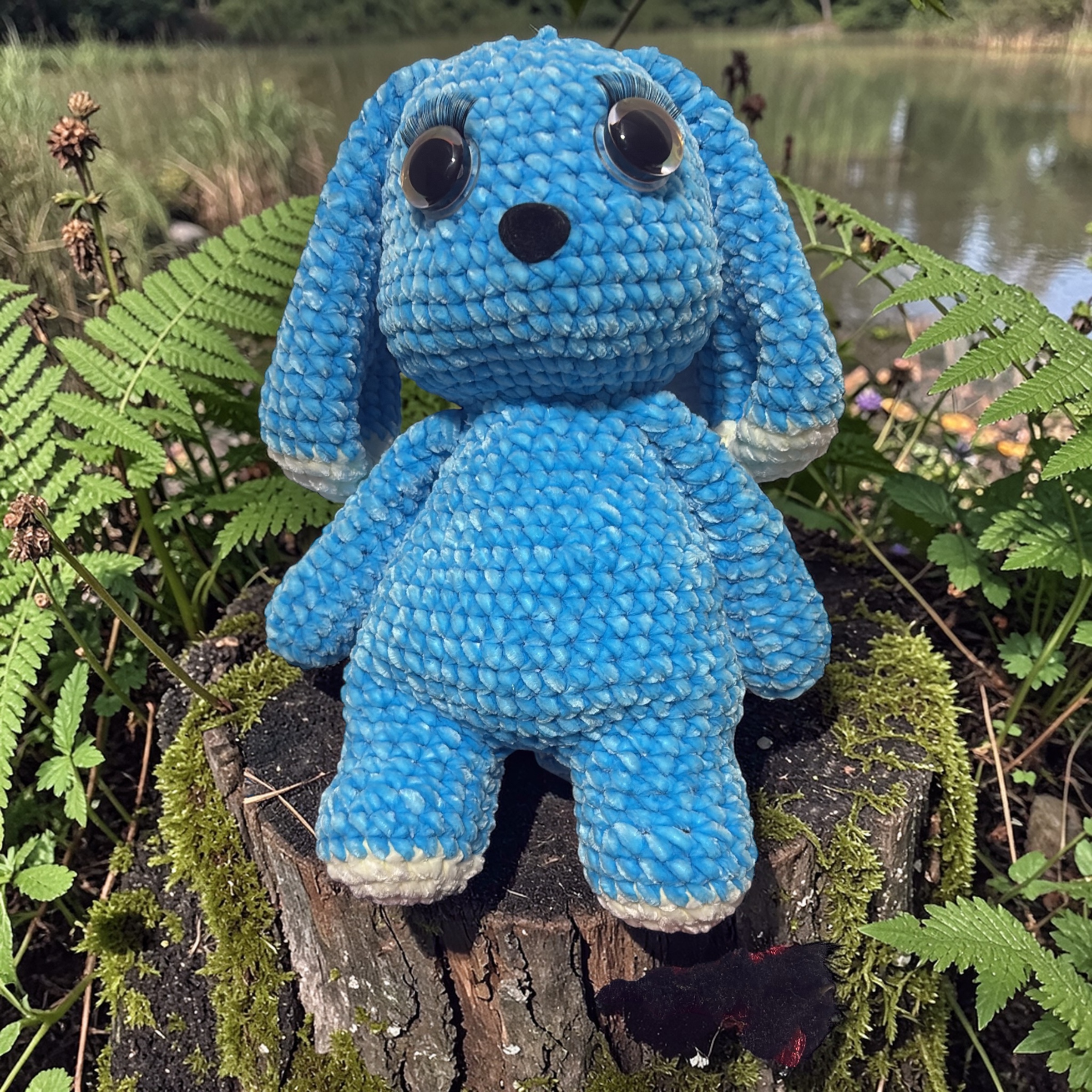 Image supplémentaire