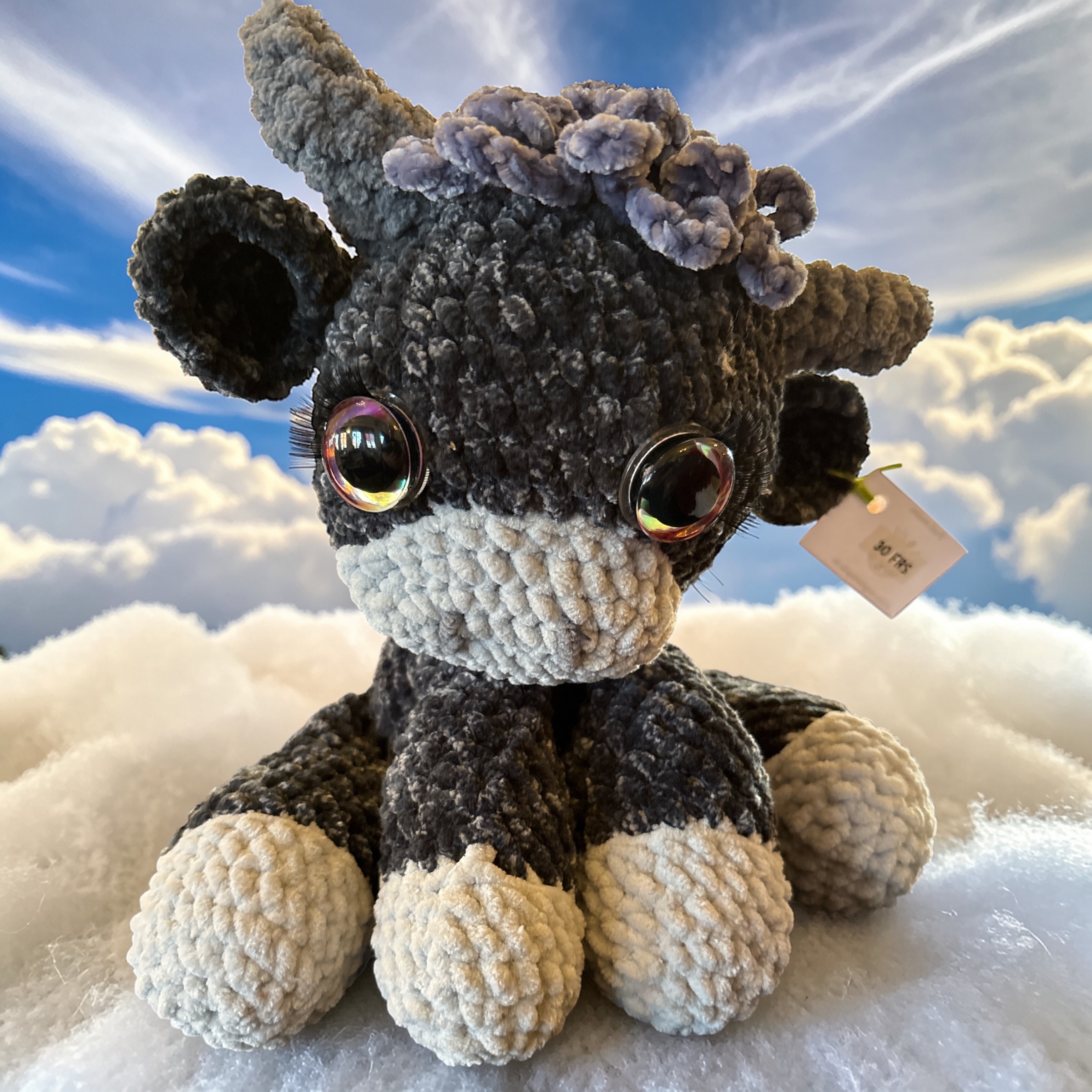 Image supplémentaire