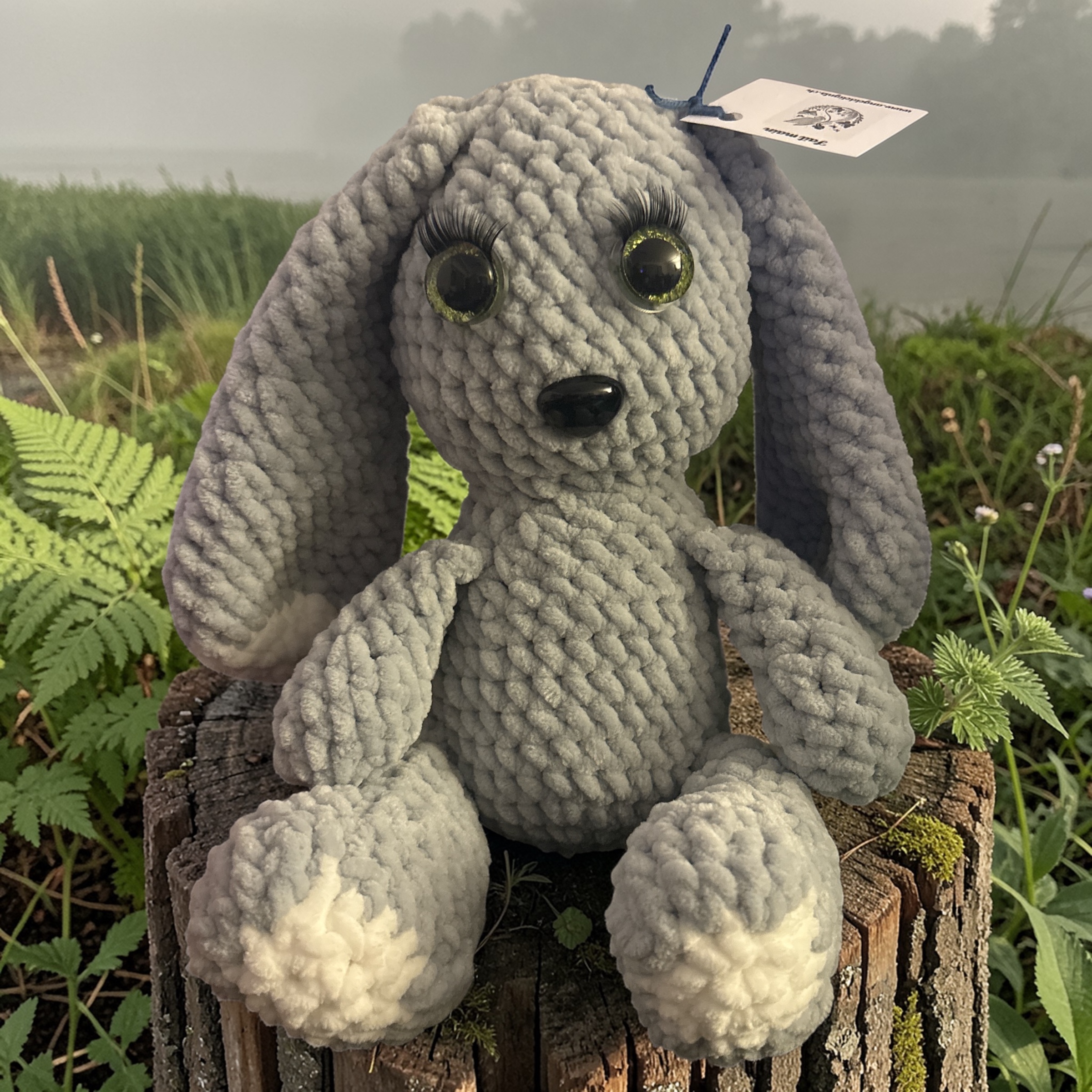 Image supplémentaire