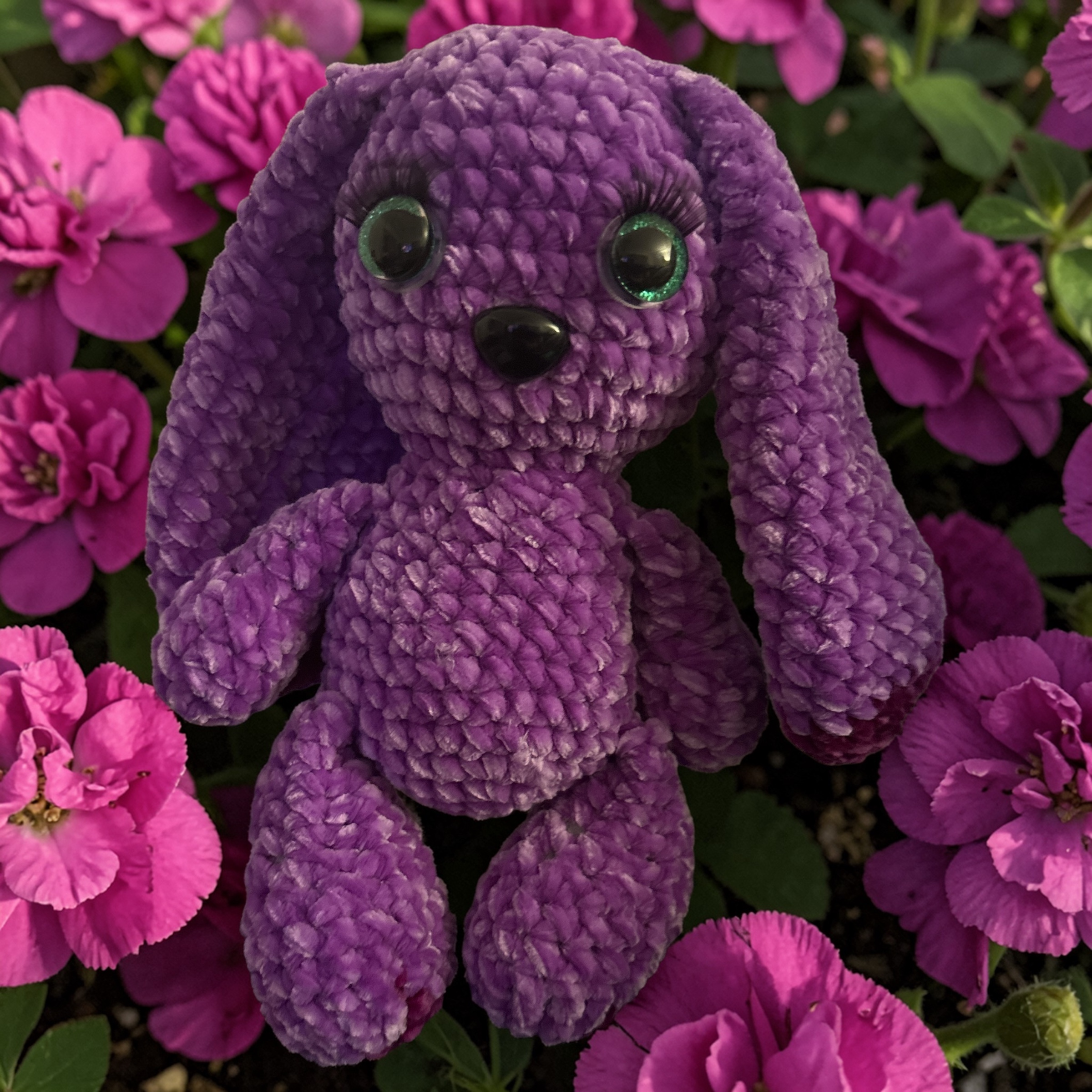 Image supplémentaire