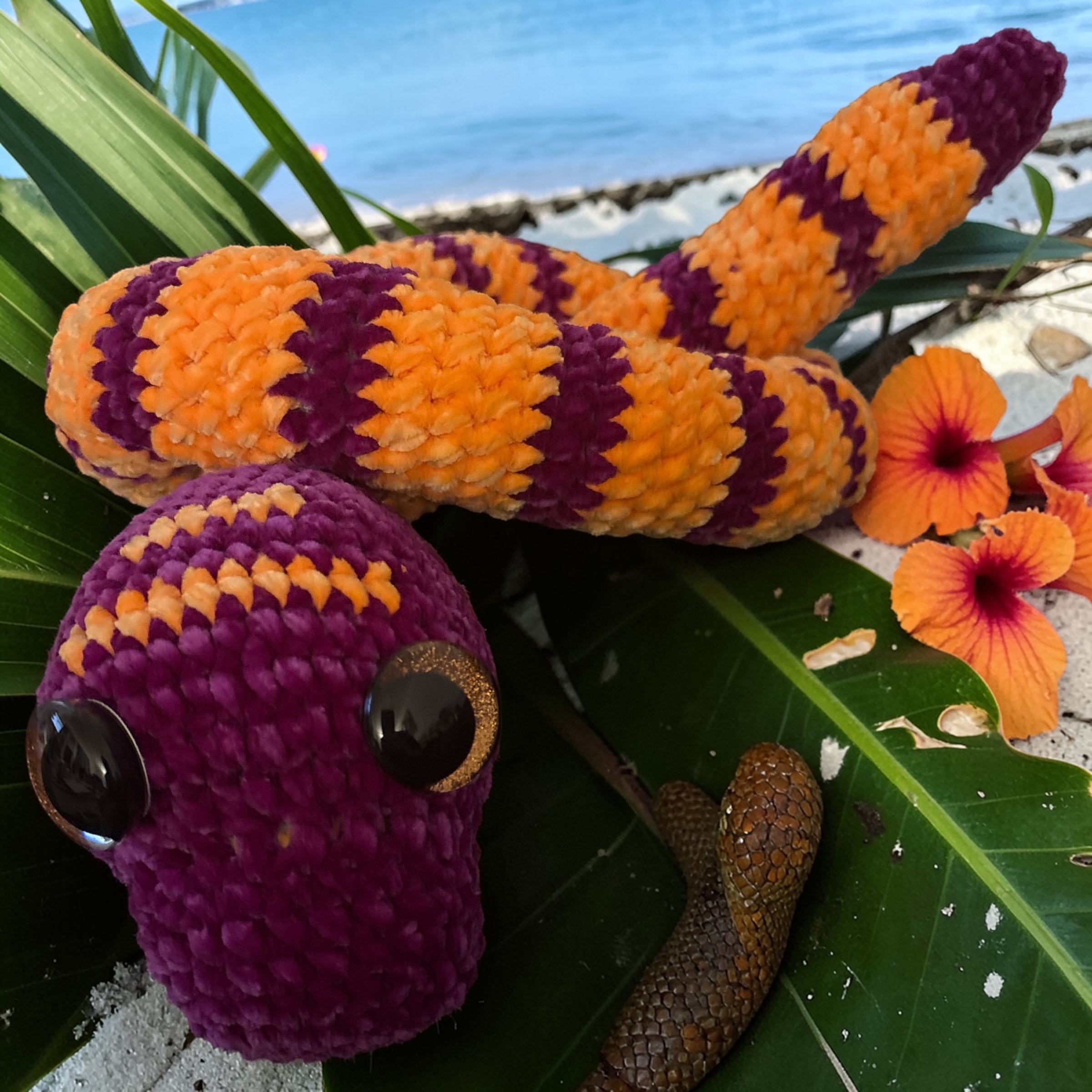 Image supplémentaire