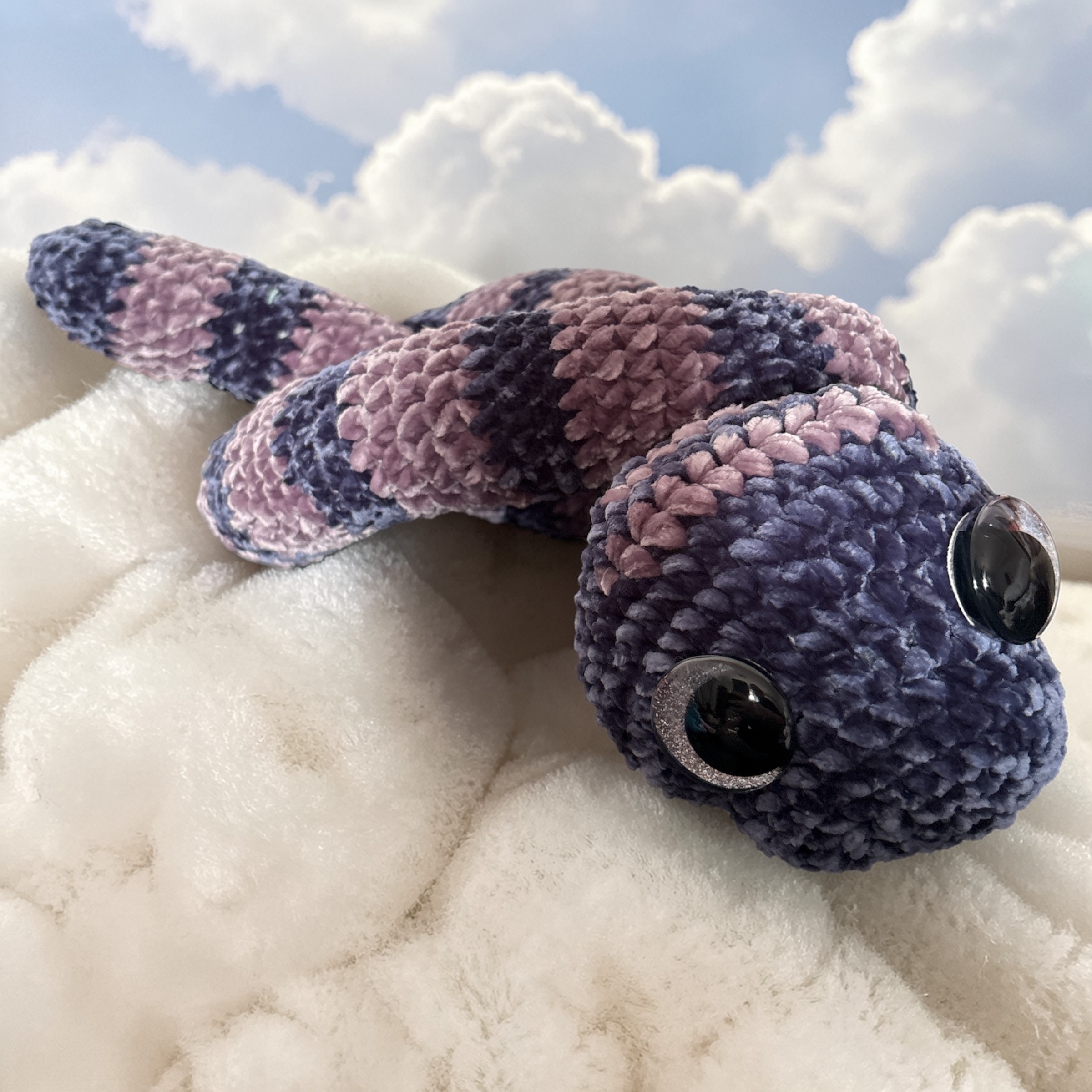 Image supplémentaire