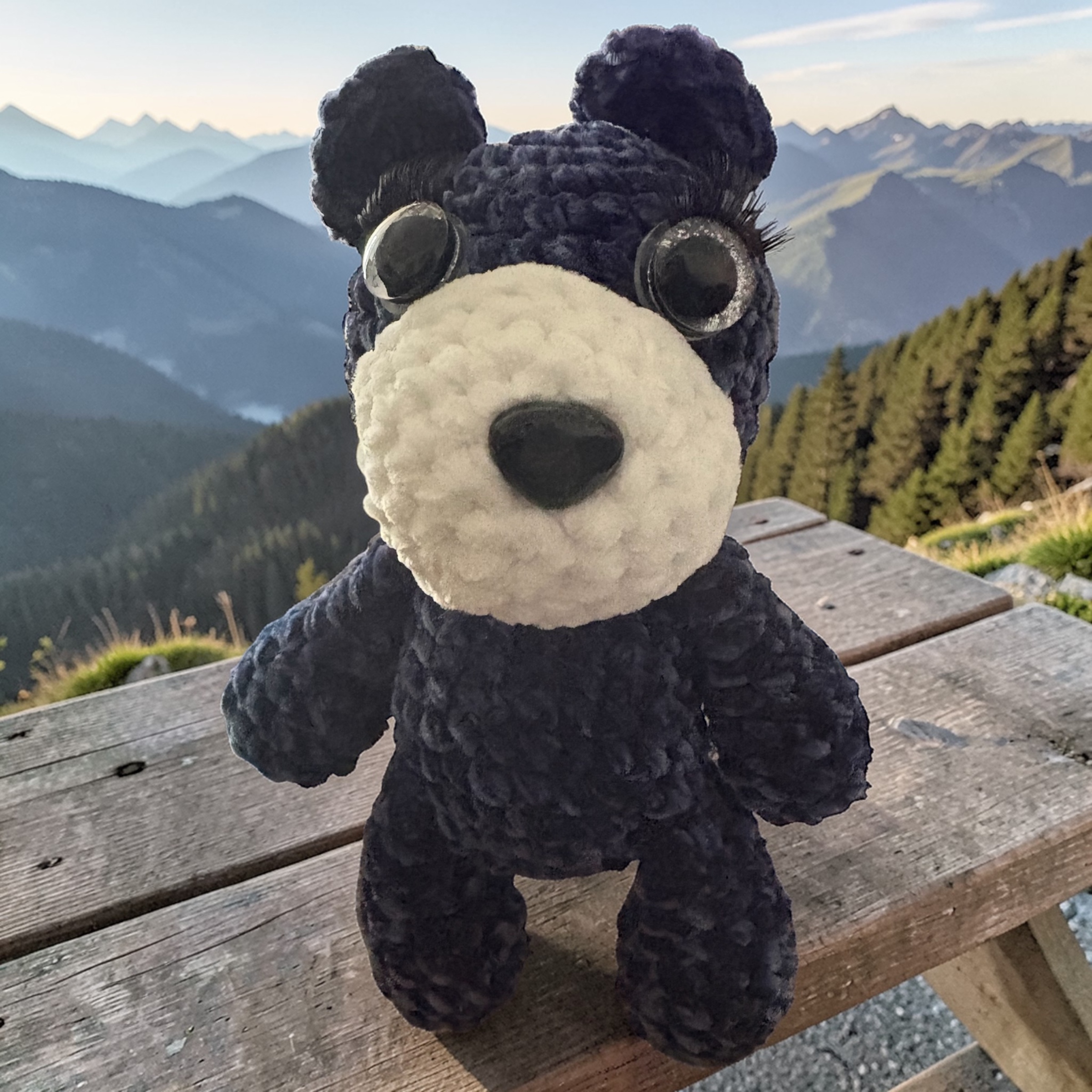 Image supplémentaire